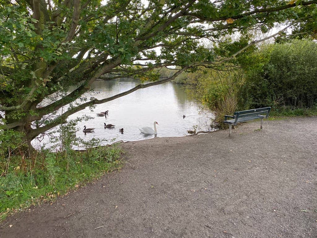 Diverse Wildlife Encounters