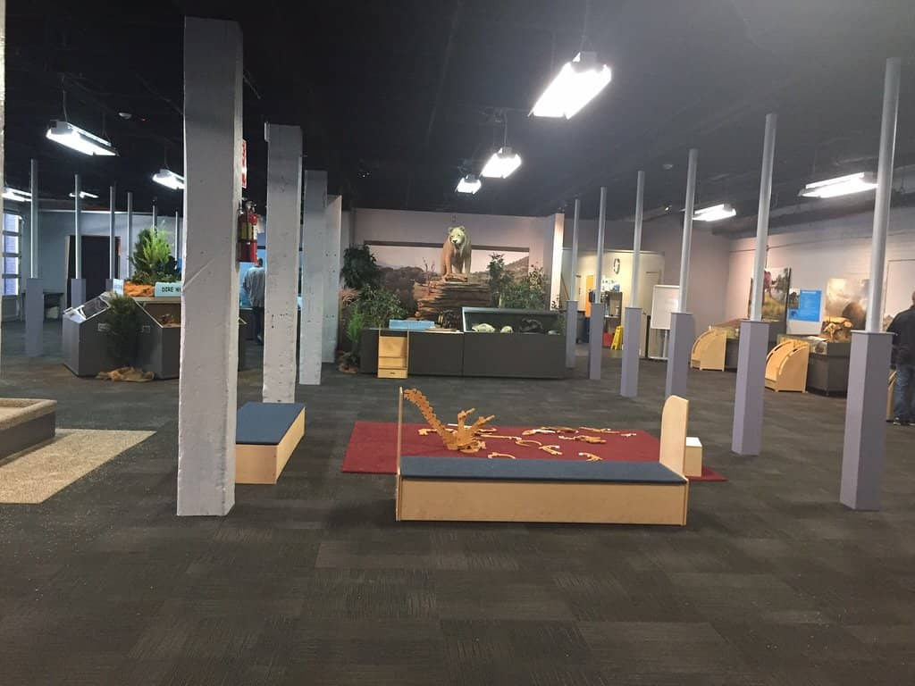 Build & Launch Zone