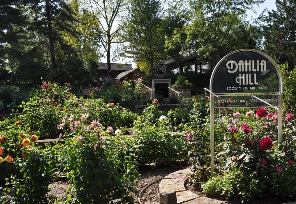 Sculpture Park