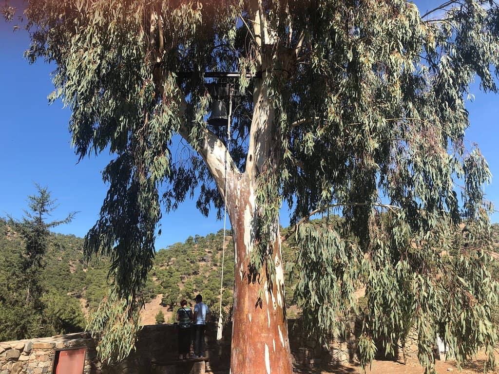 Troodos Mountains Setting