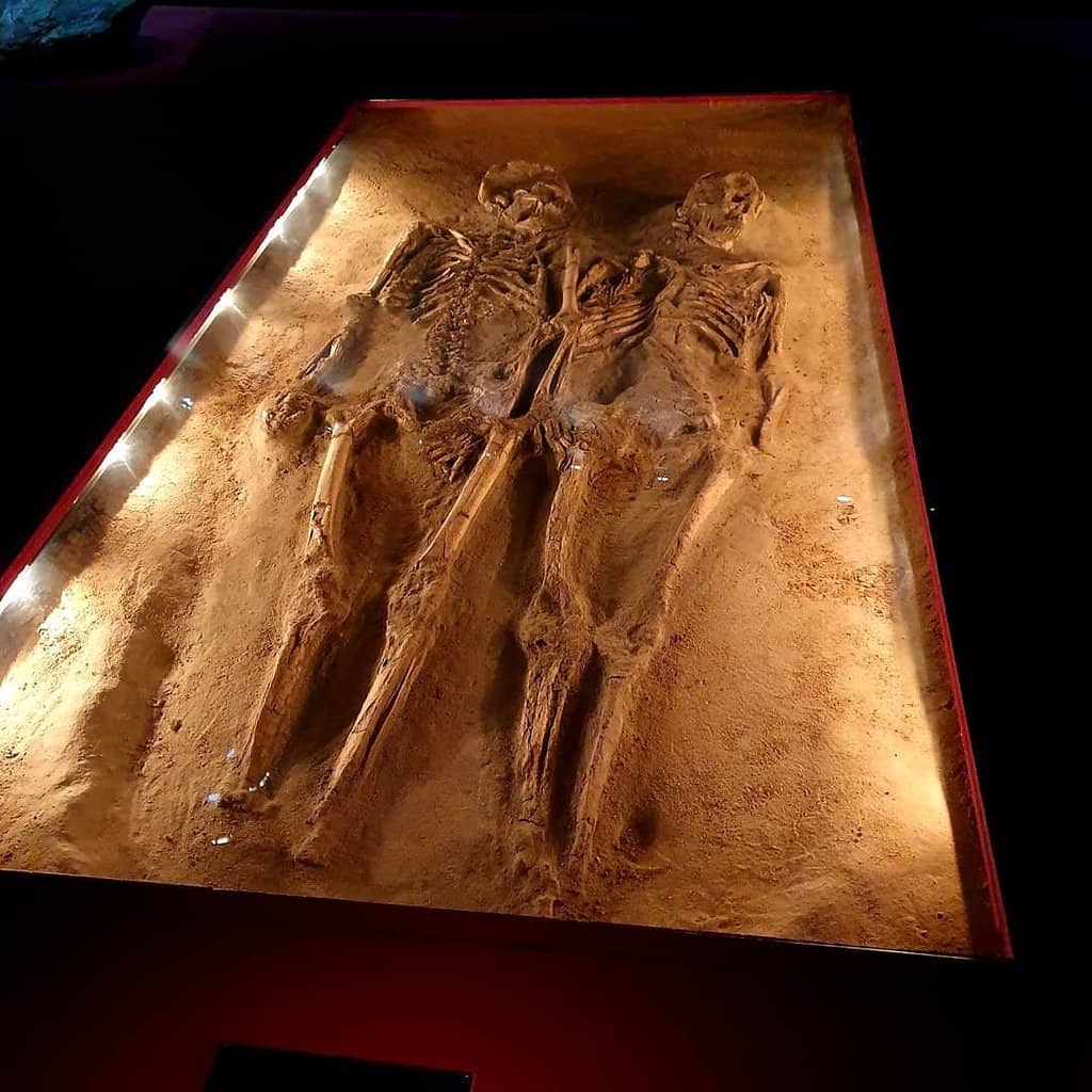 Alfons Åberg Section