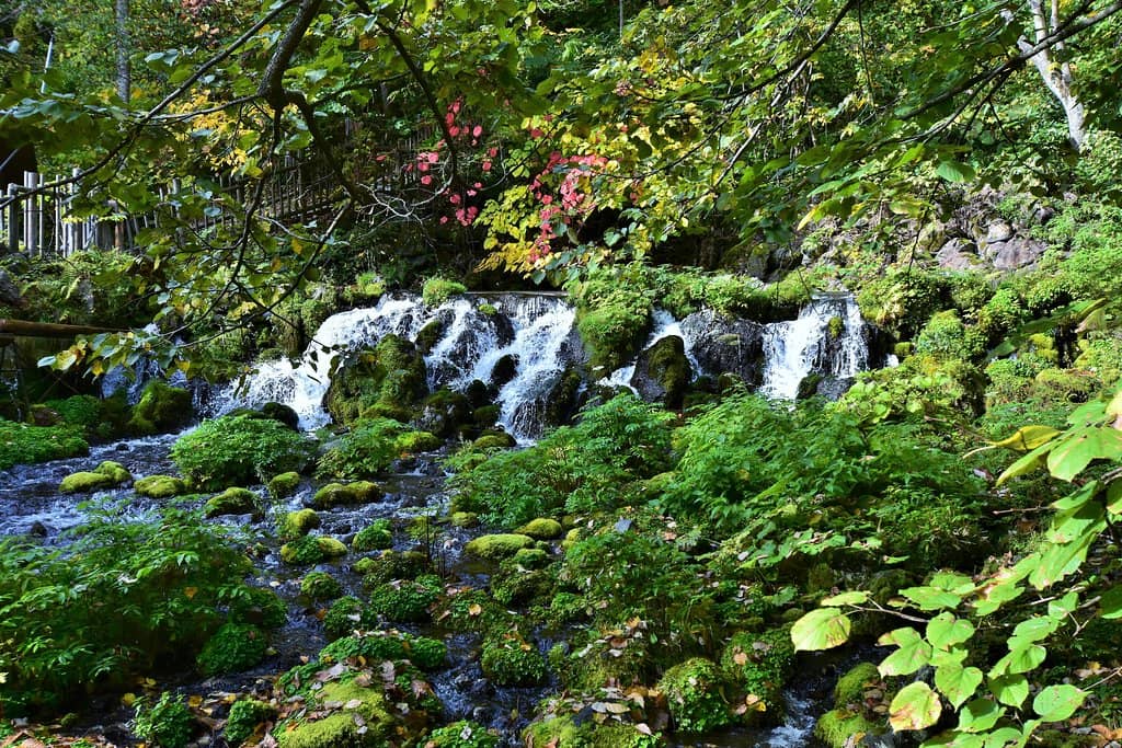 Vertical photo