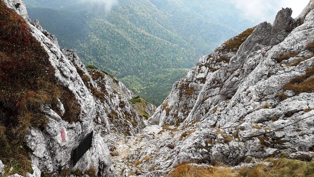 Zărnești Gorges