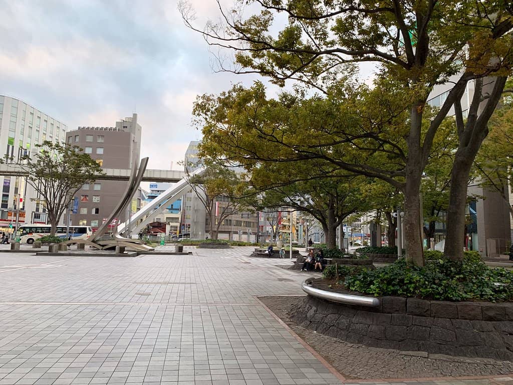 Illuminations & Light-Ups