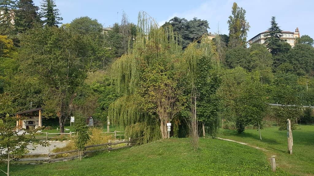 All-Weather Family Fun