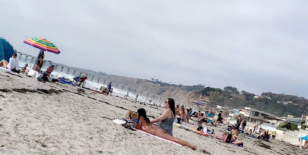 Bioluminescence Magic