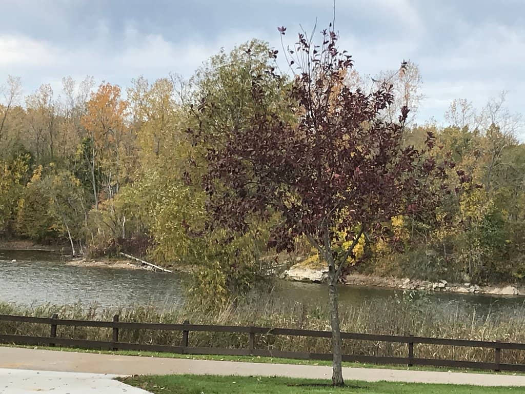 Splash Pad & Swimming Beach