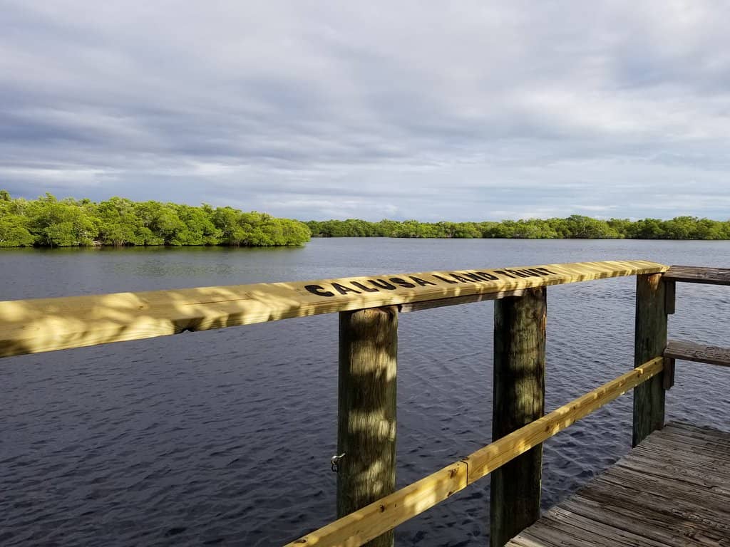 Informative Ecosystem Signs