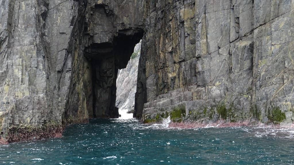 Scenic Island Views