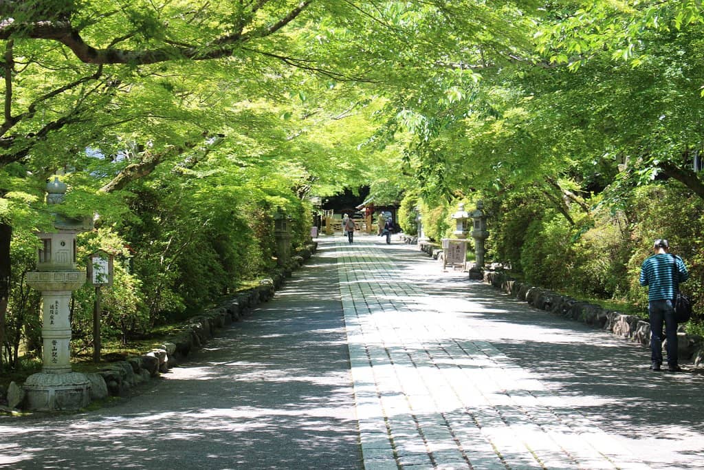 The Tale of Genji's Birthplace