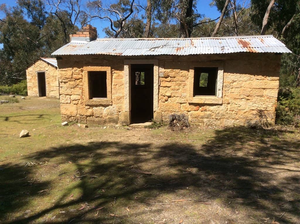 Peaceful Nature Walk