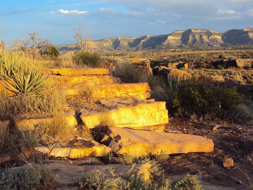 Mesa View Pathway