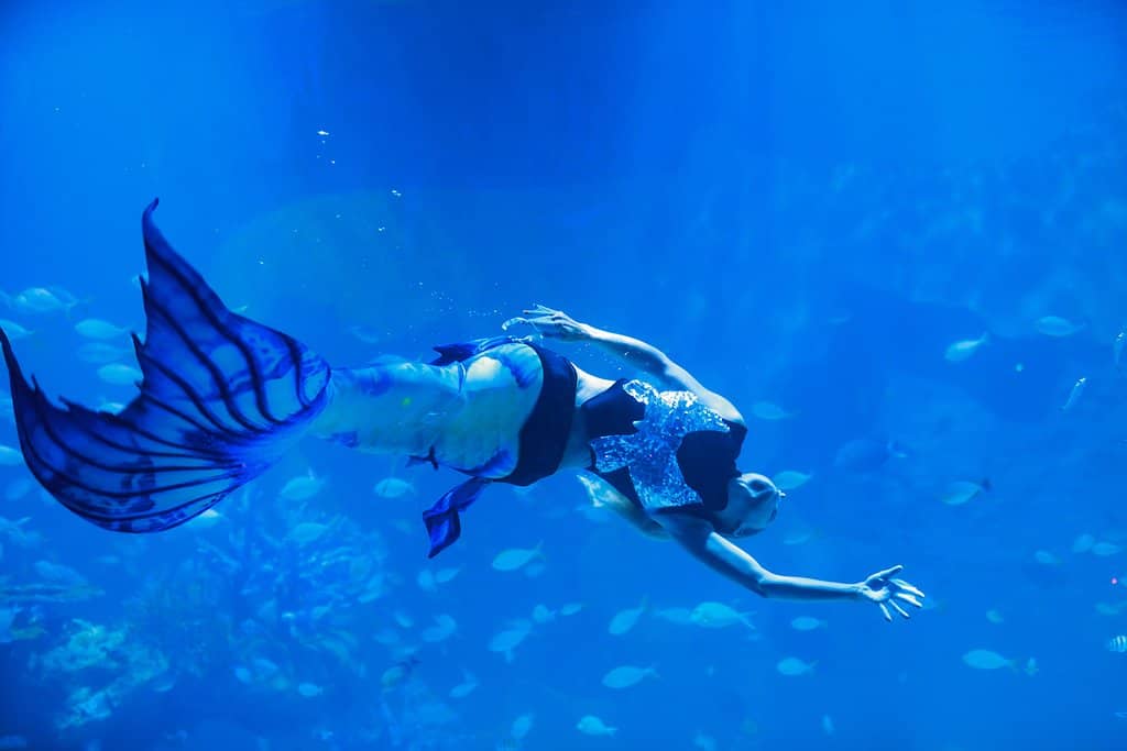 Exceptional Chef's Tasting Menu