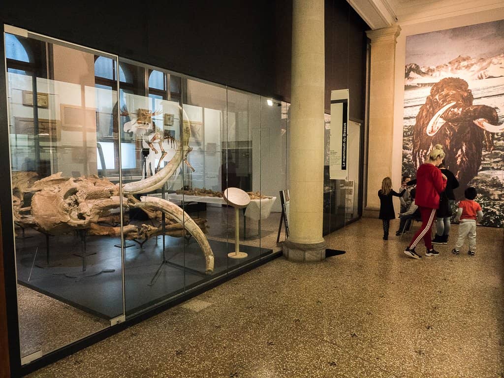 Archaeology & History