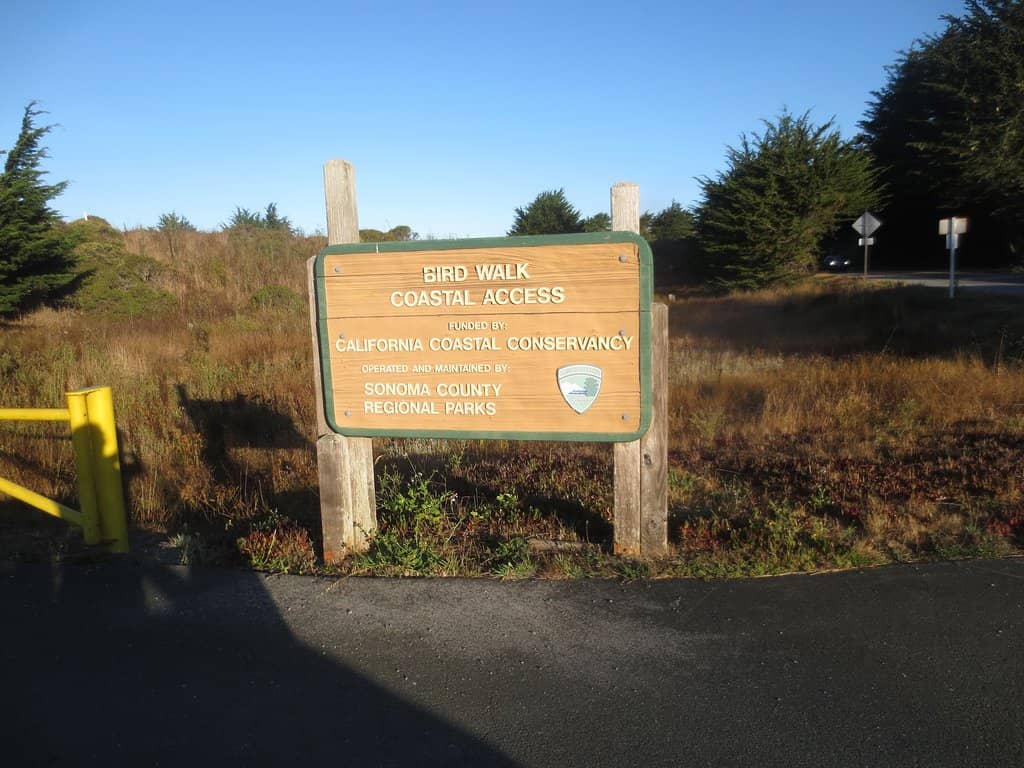 Bird Creek Falls