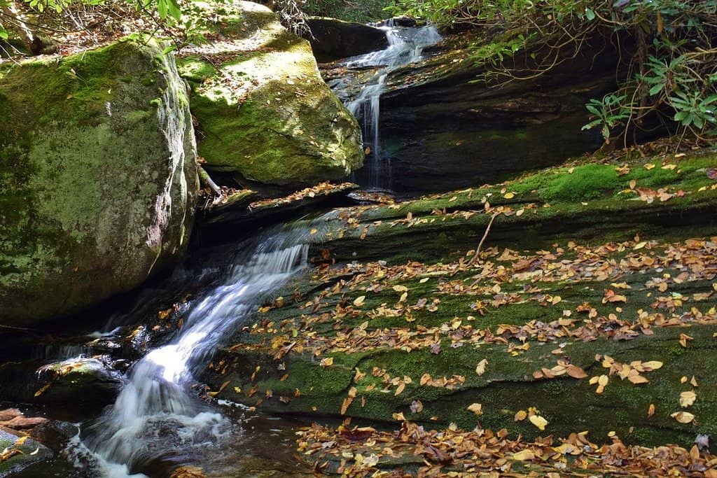 Little Green Mountain