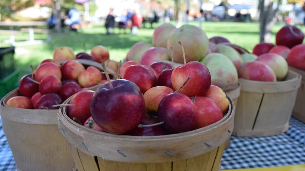 Live Music & Community Vibe