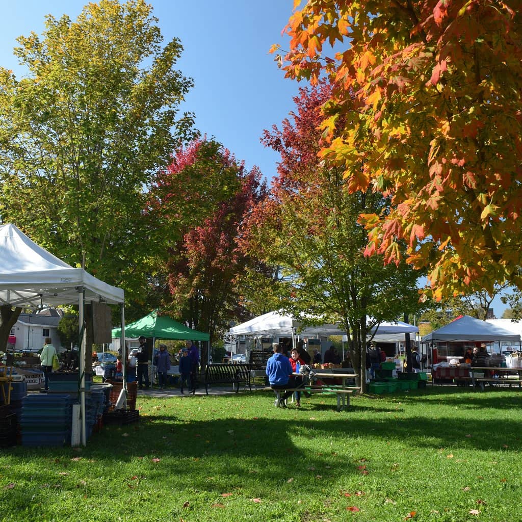 Seasonal Produce Galore