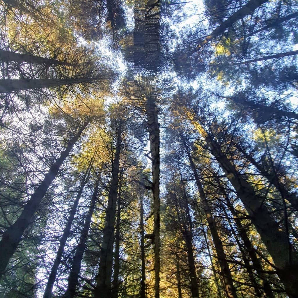 Vertical photo