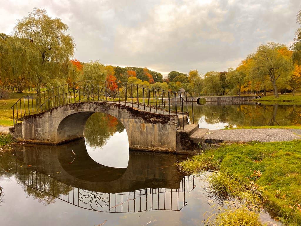 Larz Anderson Auto Museum