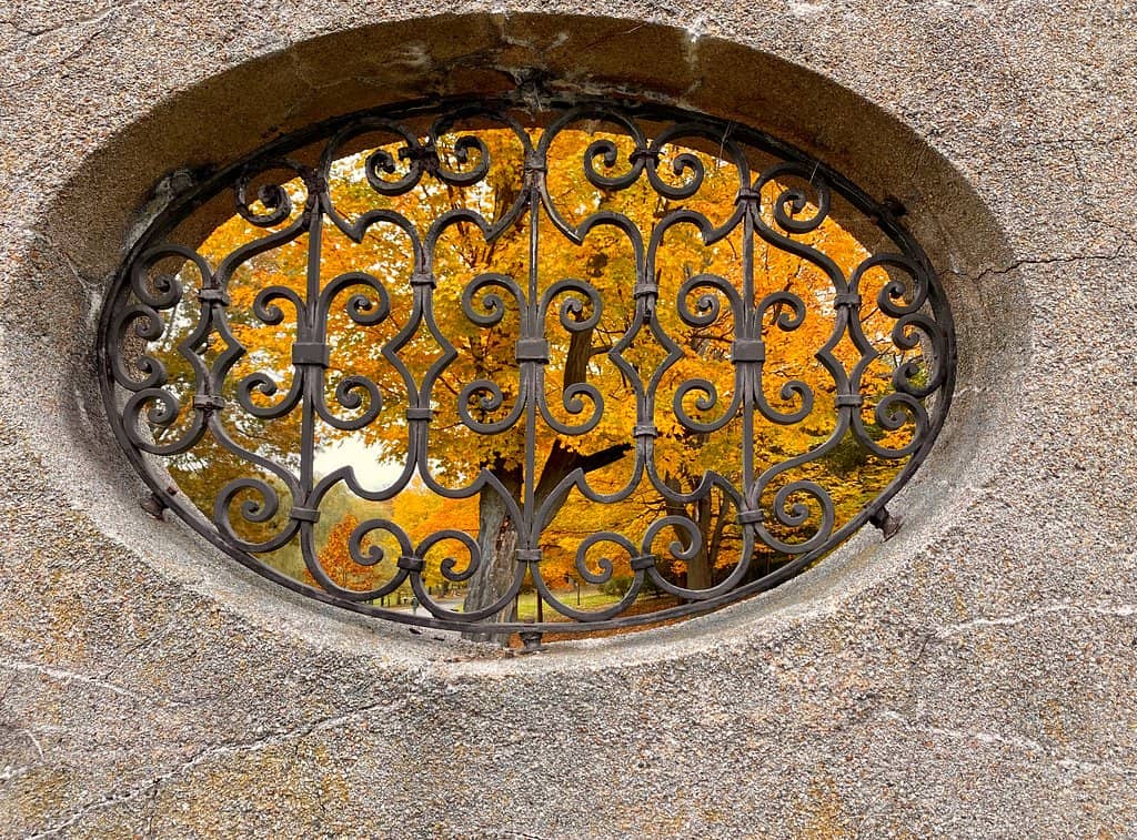 Boston Skyline Views