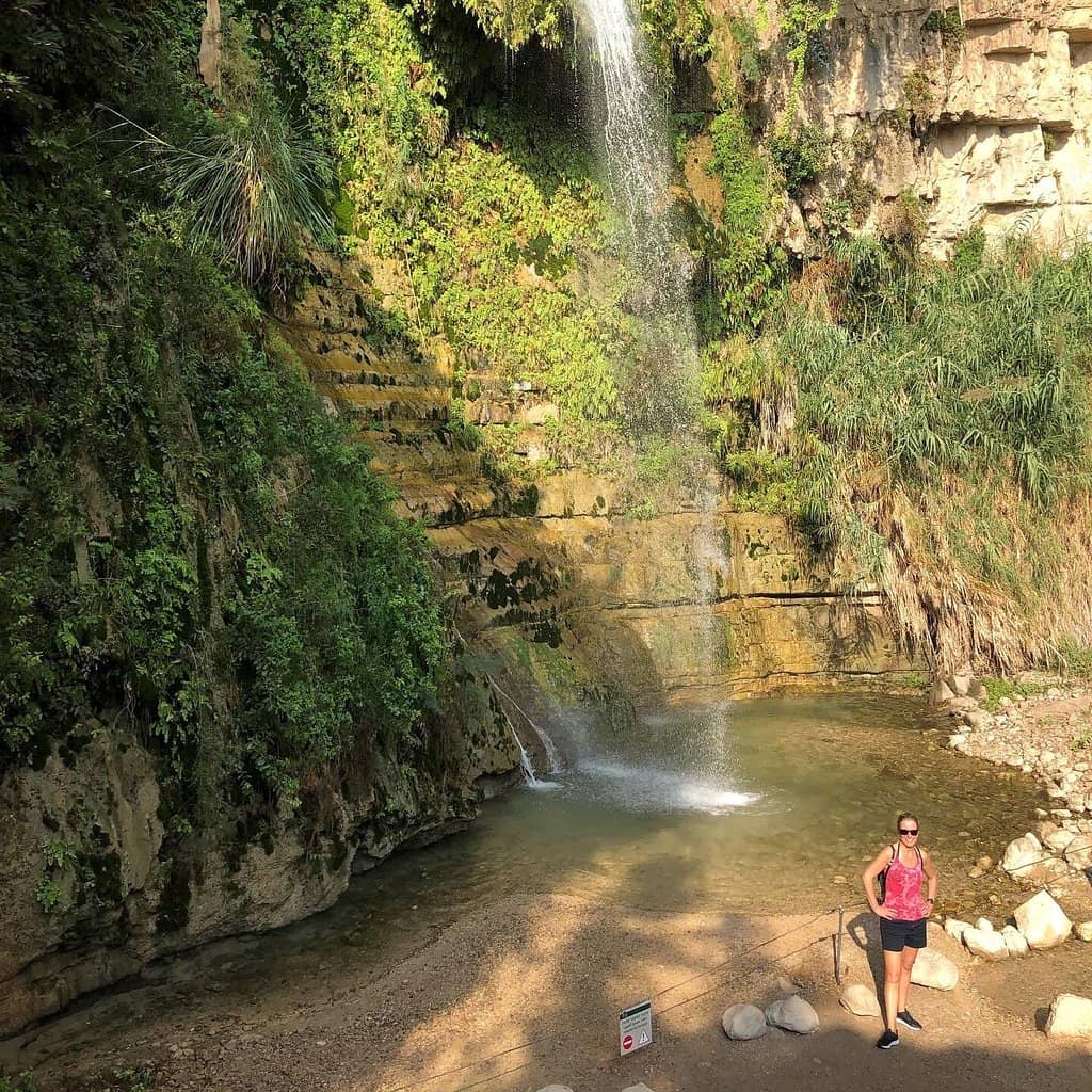 Nahal David Oasis