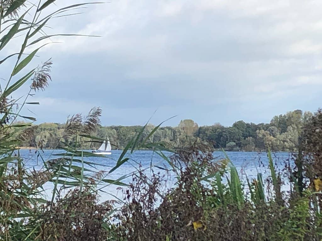 Kralingse Plas Lake
