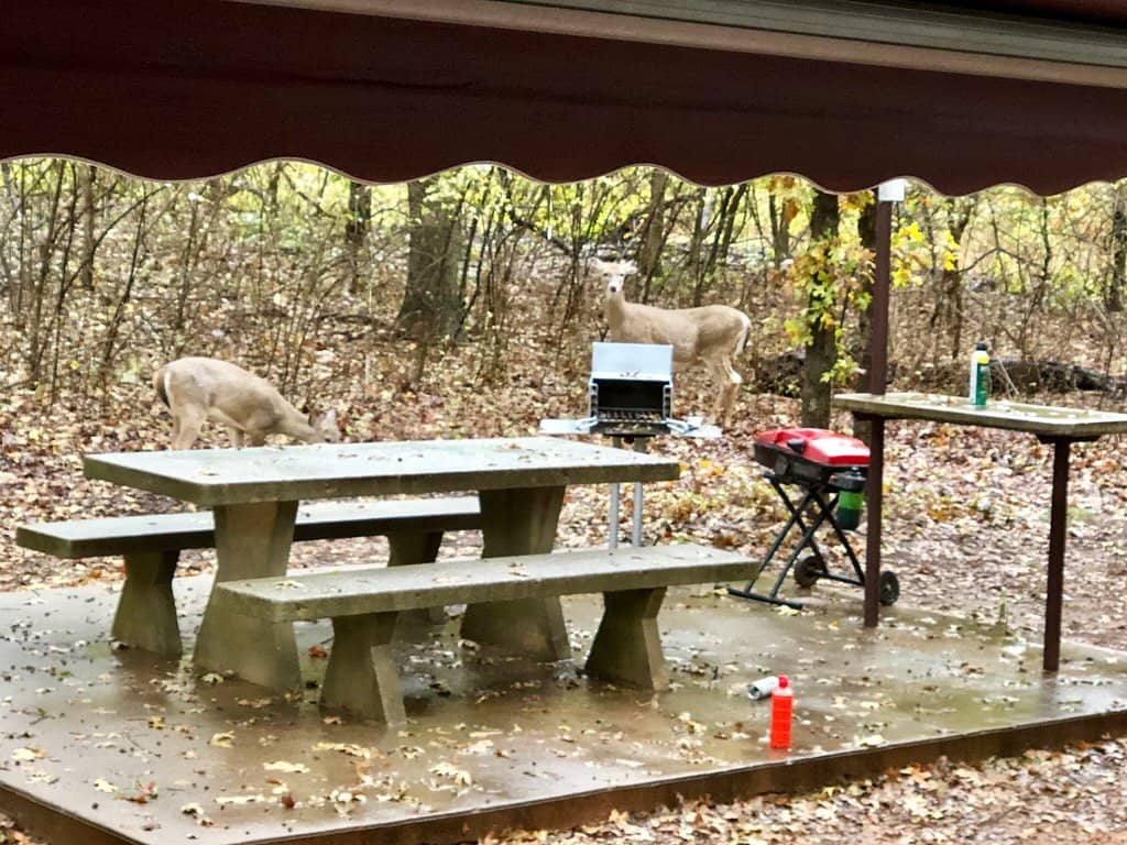 Water Sports & Fishing