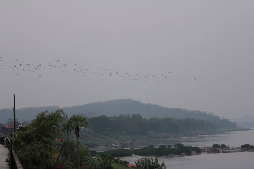 Mekong River Boat Trip