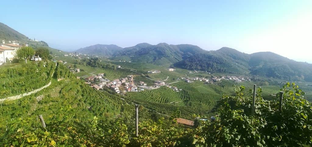 Self-Serve Charcuterie & Cheese