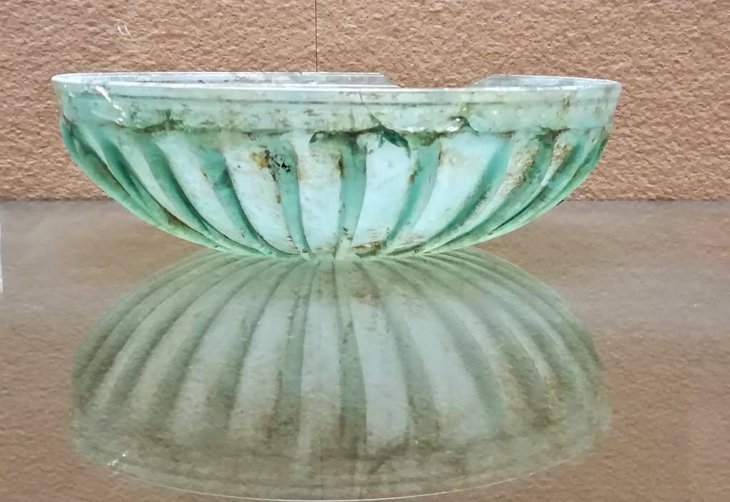 Environmental and Natural History Exhibits