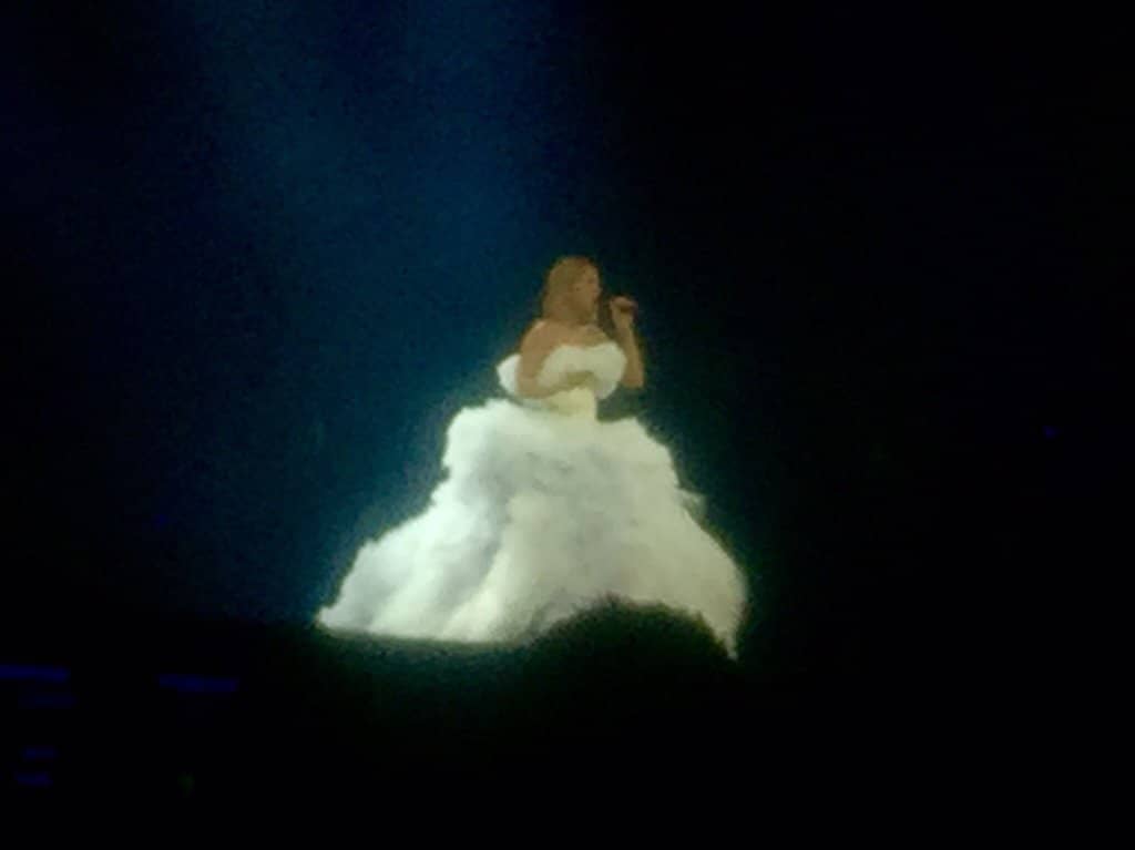 Seasonal Snowfall Views