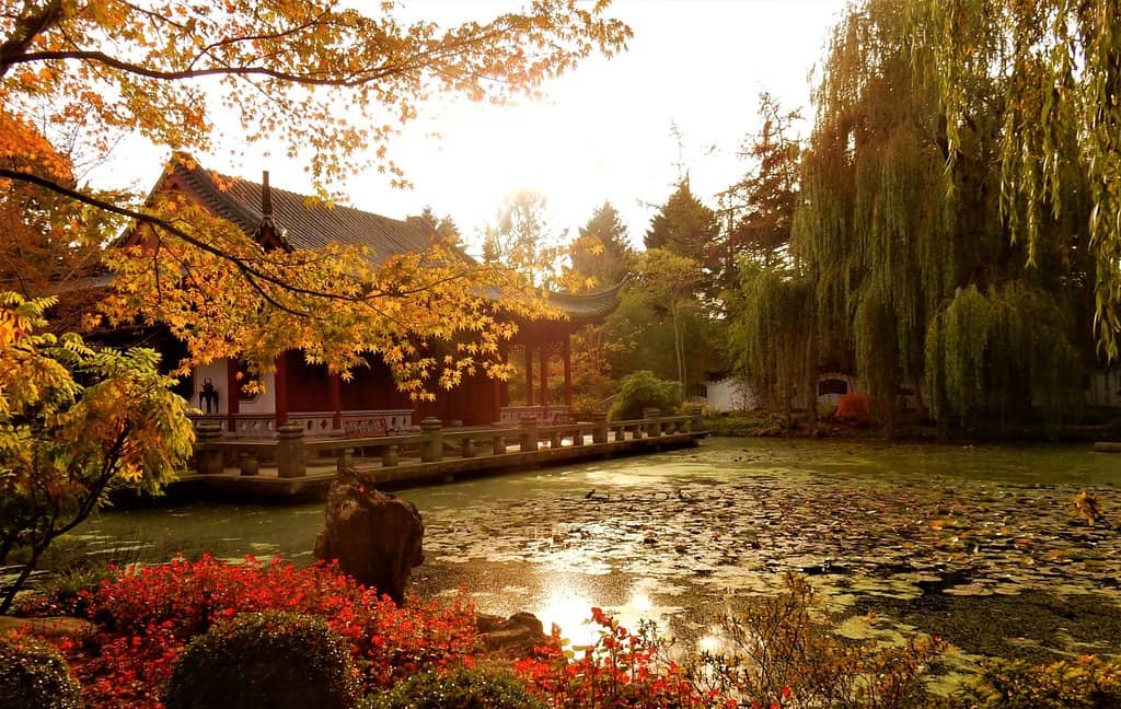 Diverse Themed Gardens