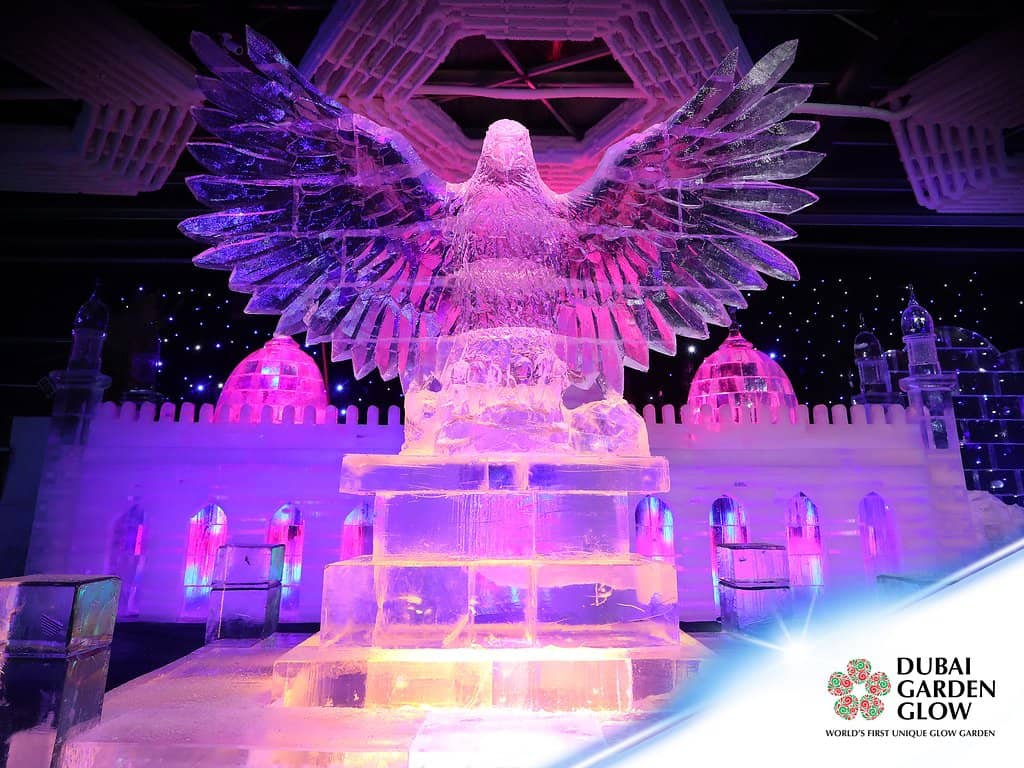 Dinosaur Park Adventure