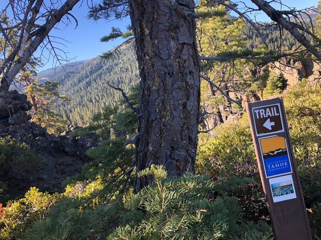 Shady Uphill Trek