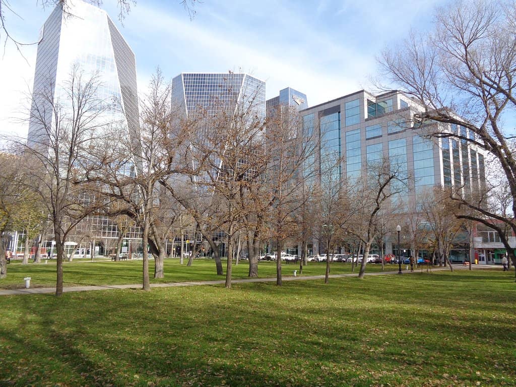 Urban Green Space