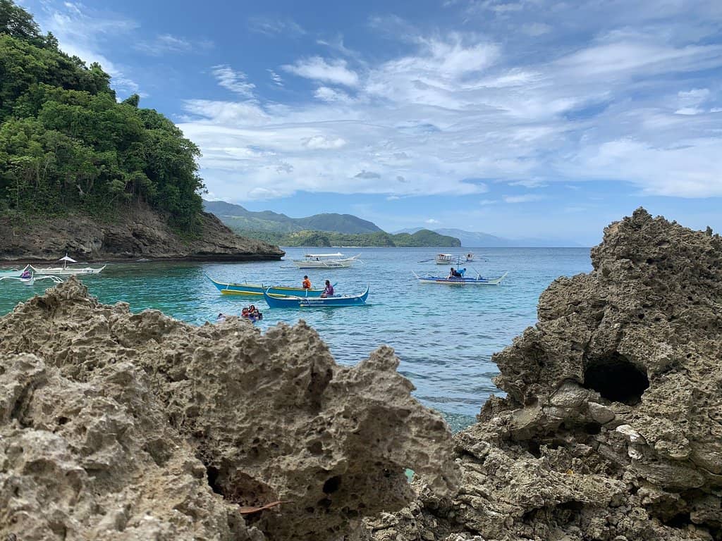 Vibrant Coral Reefs