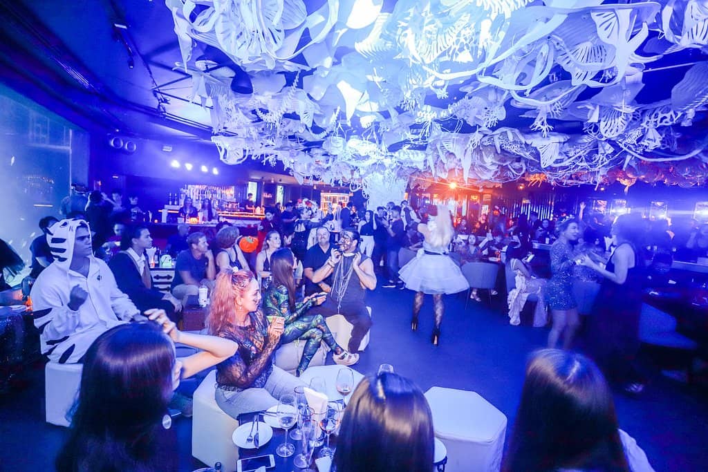 Mermaid and Art Shows