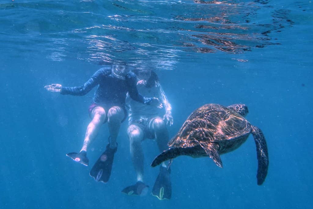 Crescent-Shaped Sandy Shoreline
