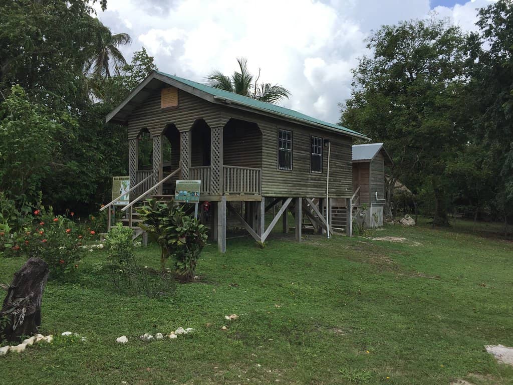 Cashew Fruit Delights