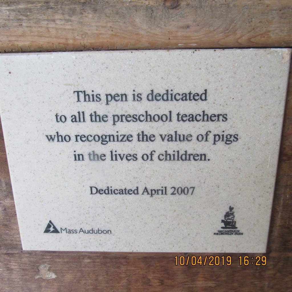 Native Wildlife Exhibits