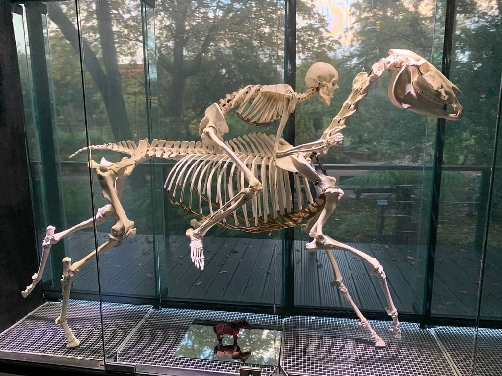 Global Plant Collections