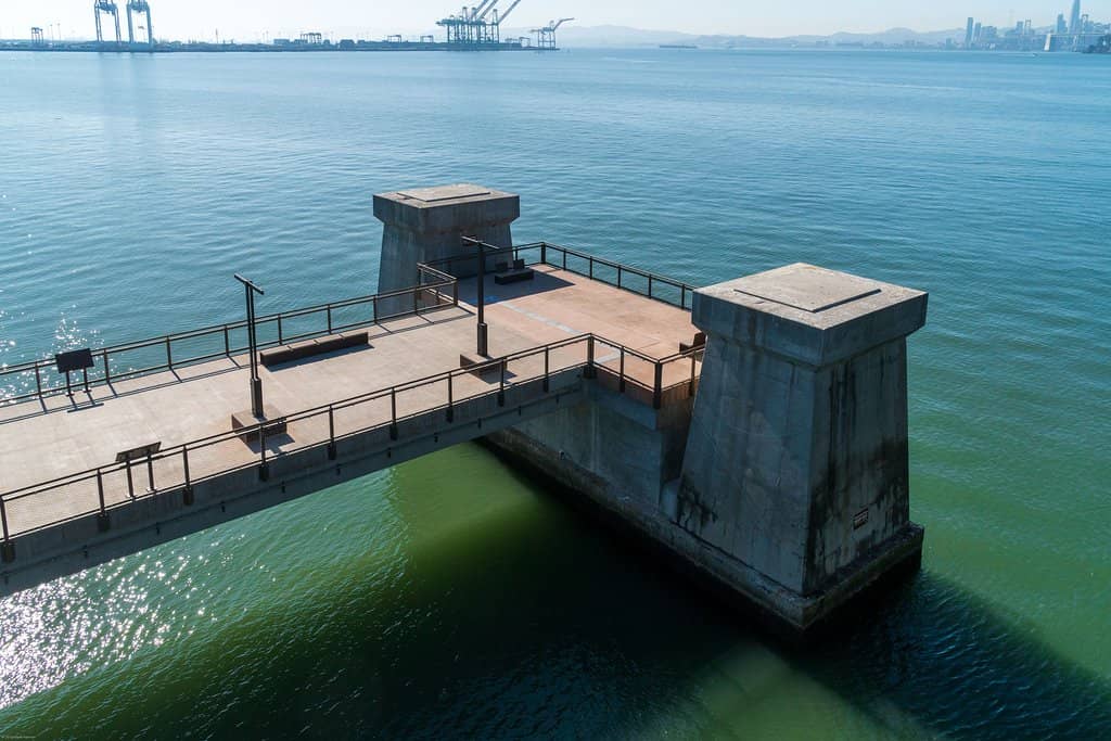 Iconic Bridge Architecture
