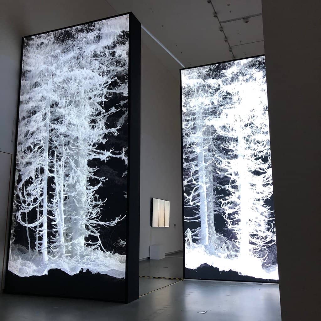 V&A Curated Exhibitions