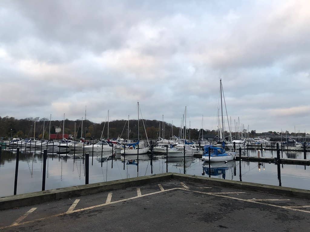 Vertical photo