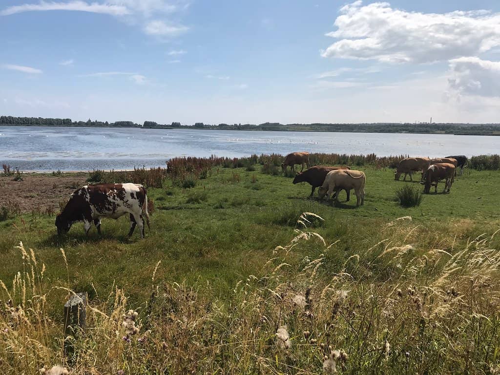 Tranquil Walking Trails