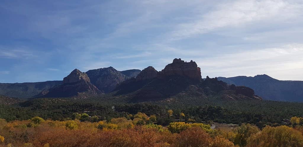 Charming Local Shops