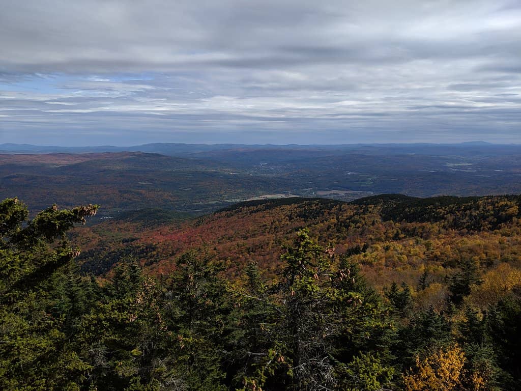 Highlights