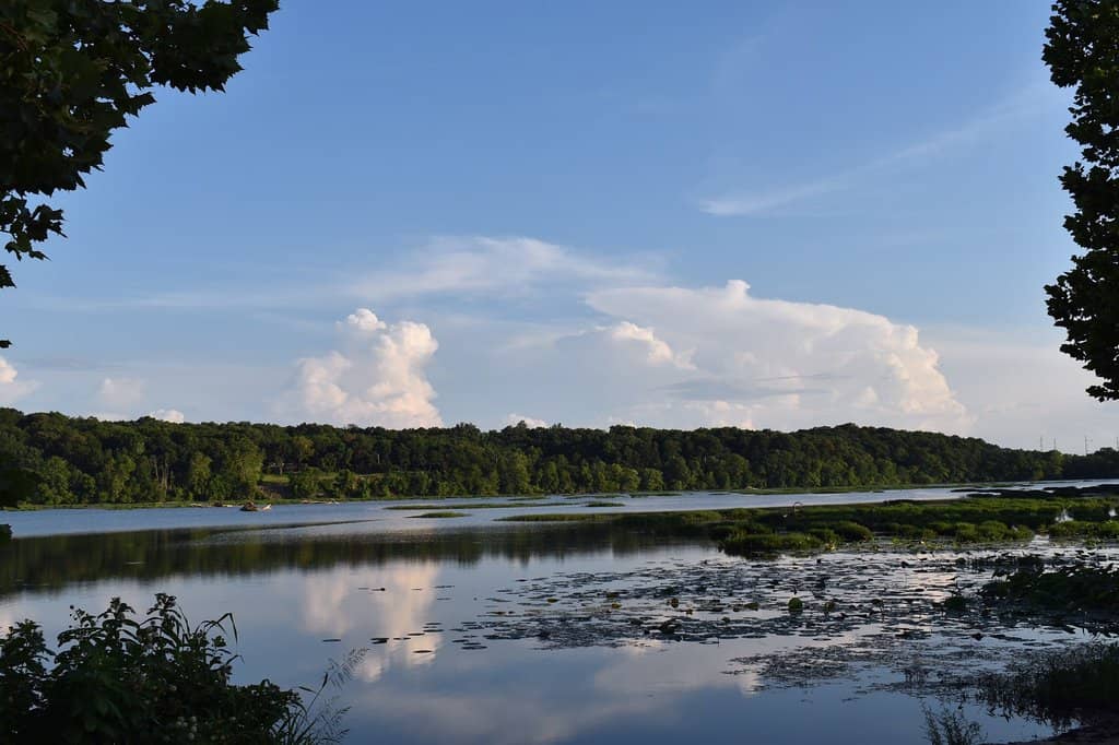 Nature Trails