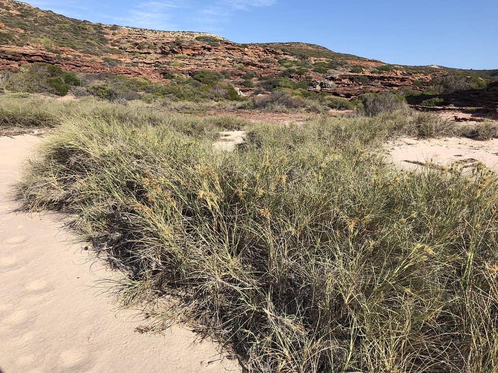Coastal Walking Tracks
